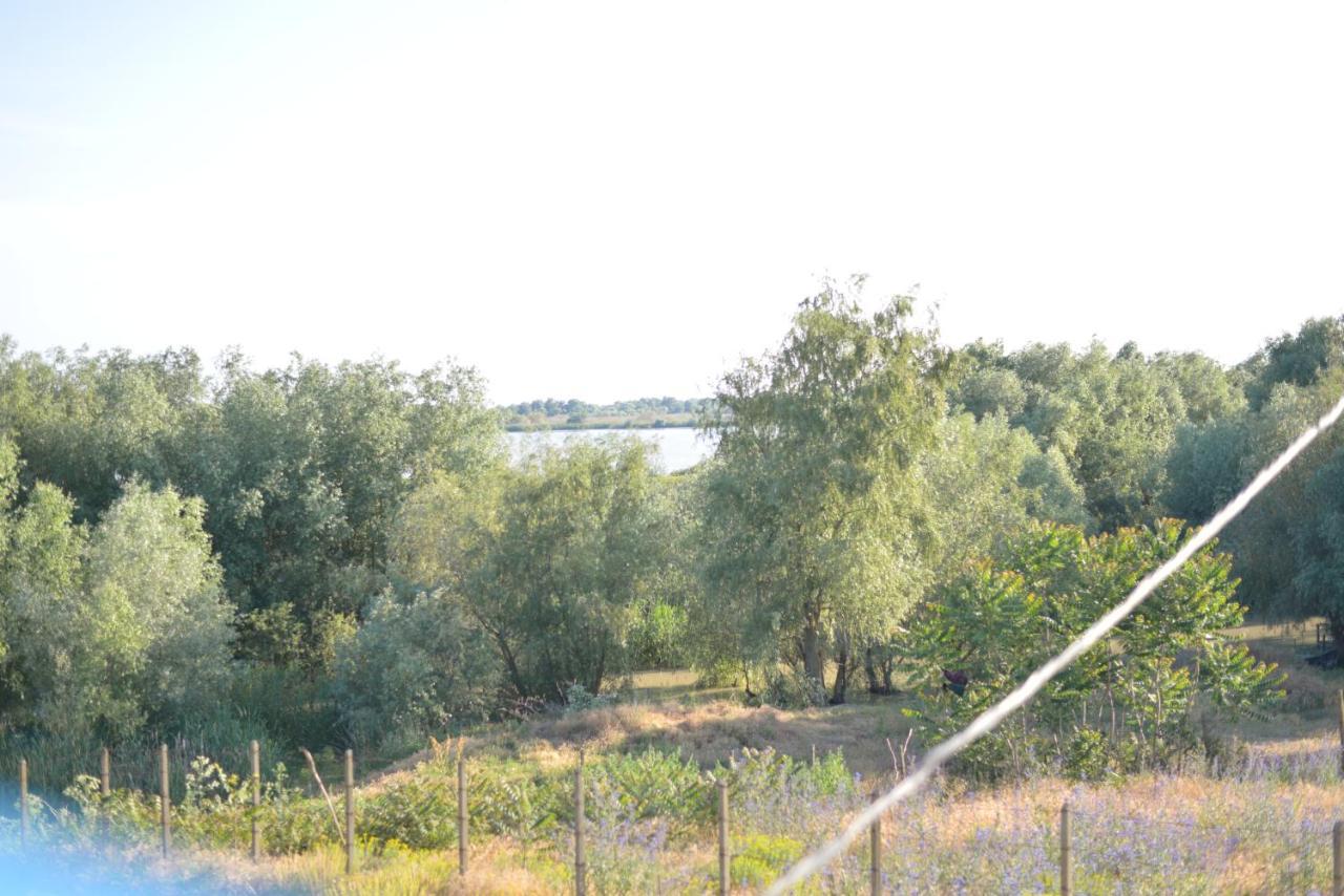Pensiunea Yogi Dunavăţu de Jos Exterior foto