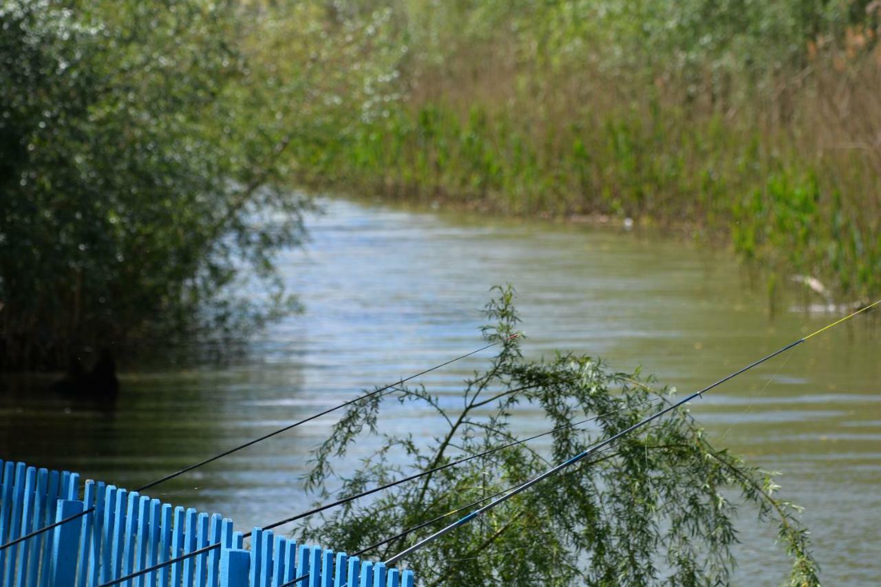 Pensiunea Yogi Dunavăţu de Jos Exterior foto